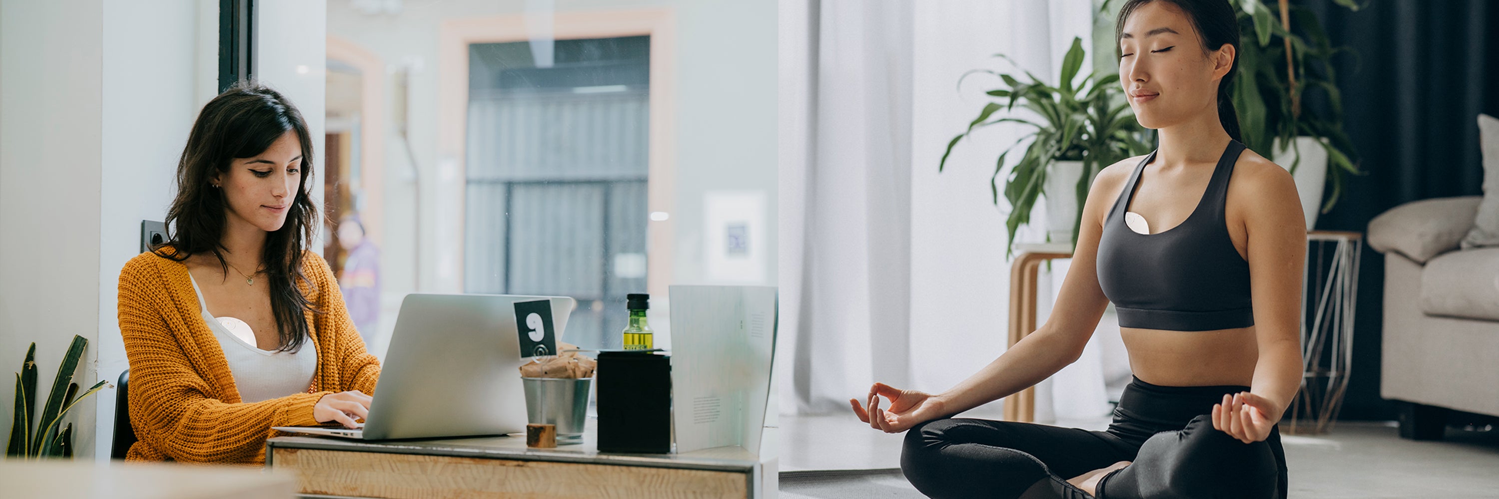 Banner 1000 2500 3c438594 9e5e 478c 8dc5 b3c083f96e28